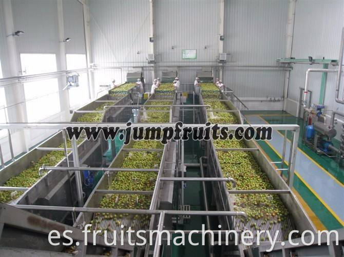 Small scale date pulp juice concentrate processing machine